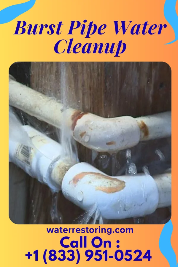 Burst Pipe Water Cleanup in Anderson, NJ