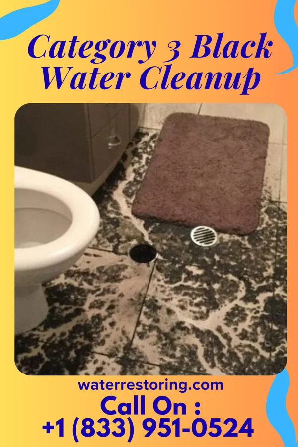 Category 3 Black Water Cleanup in Anderson, NJ