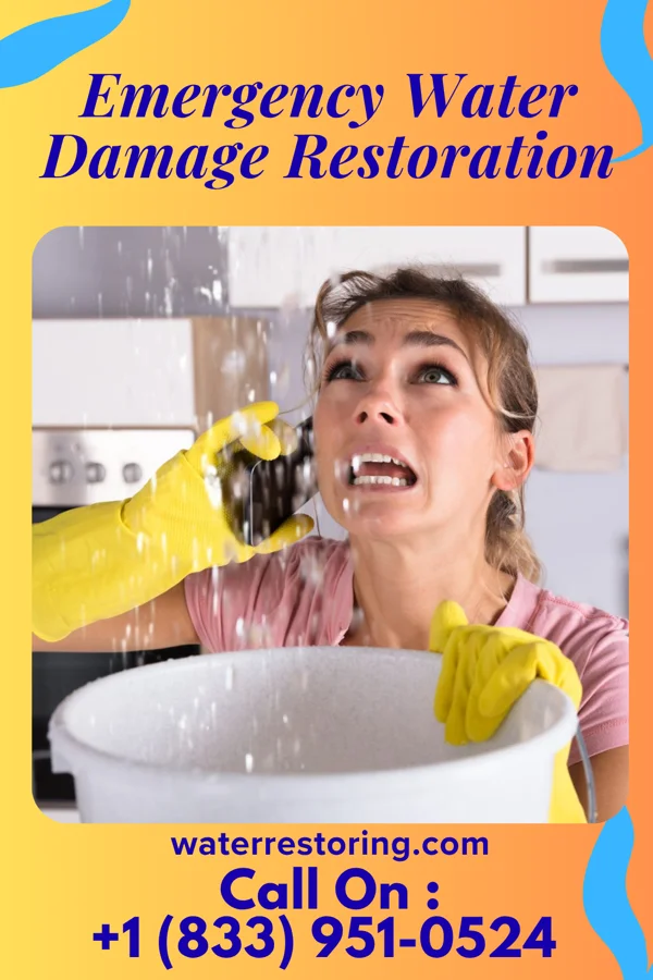 Emergency Water Damage Restoration in Anderson, NJ