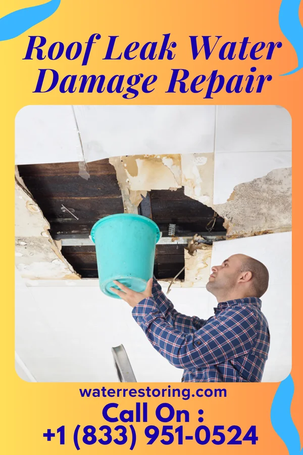 Roof Leak Water Damage Repair in Anderson, NJ