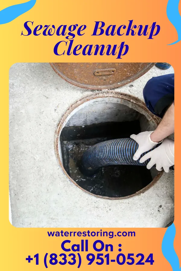 Sewage Backup Cleanup in Anderson, NJ