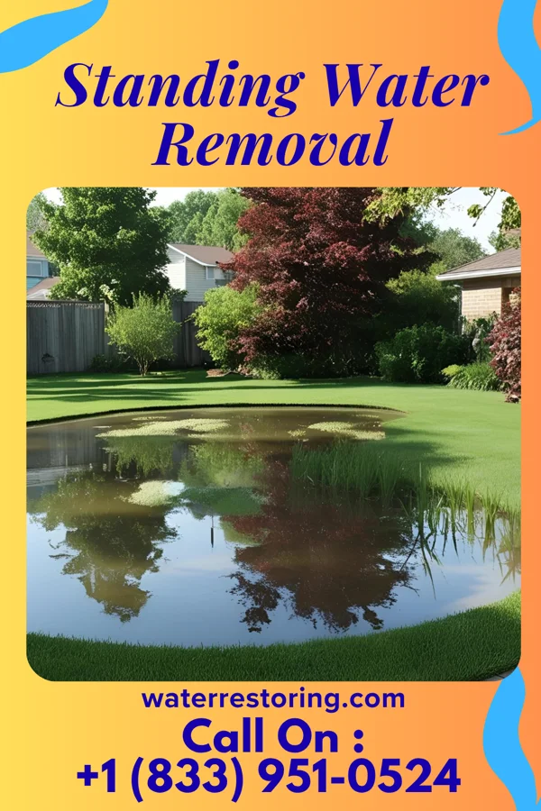 Standing Water Removal in Anderson, NJ
